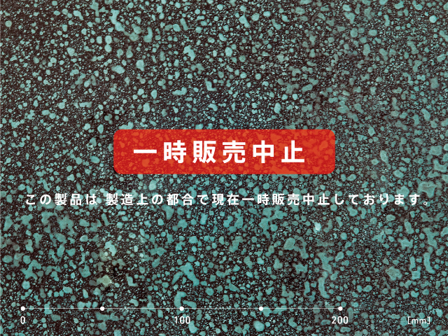 CVH-021