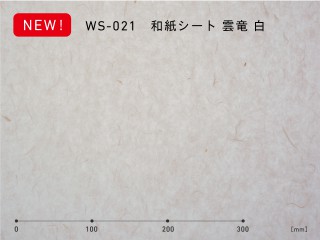 ws-021